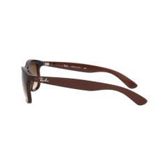 Ray-Ban RB 4202 Andy 607313 Marrone Opaco