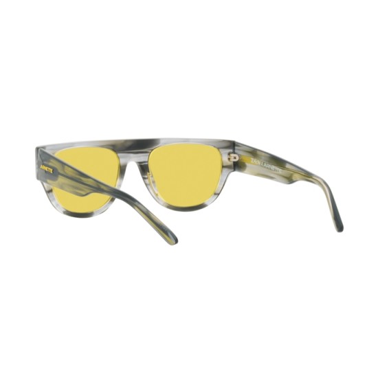 Arnette AN 4293 Gto 121685 Tie-dye Grigio Arnette AN 4293 Gto 121685 Tie-dye Grigio