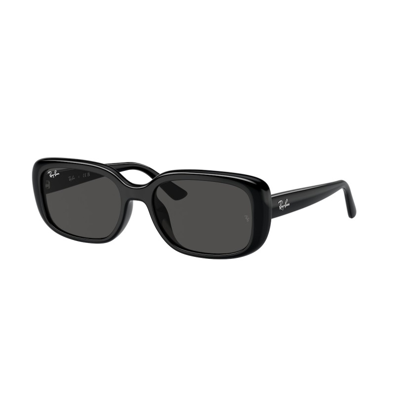 Ray-Ban RB 4421D - 667787 Nero